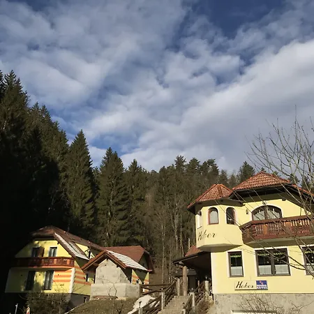 Hober 3* Prevalje