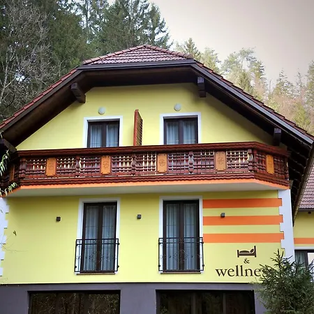 Hober Guest house Prevalje